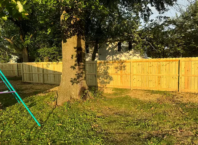 a tree sitting in front of a newly built wood fence with a golden glow coming from the sun setting in Springfield IL